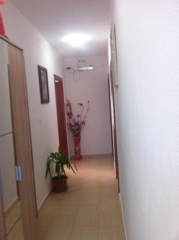 Apartment Nedovic-jaz *